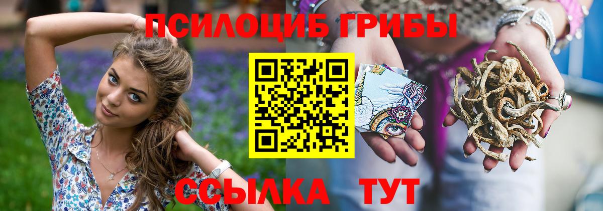 Псилоцибиновые грибы MAGIC MUSHROOMS  Псилоцибиновые грибы мухоморы  Вход с VPN  Бахчисарай 