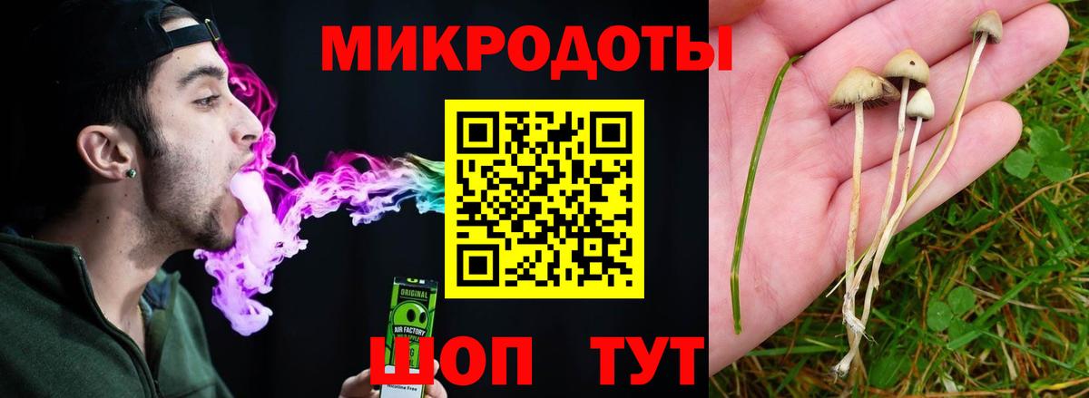 Галлюциногенные грибы Psilocybine cubensis Бахчисарай